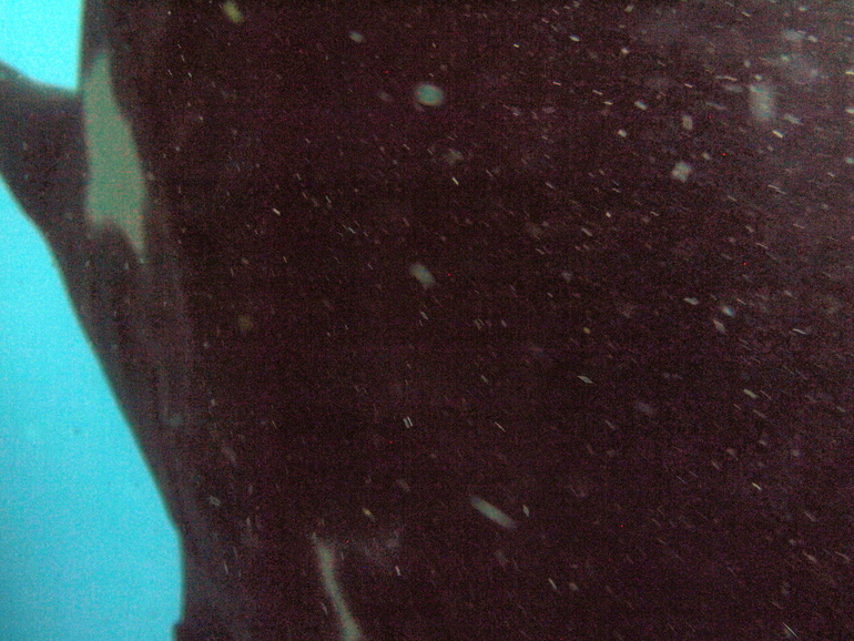 0000000001 00000000000000001055 722d882b2cd1ad7e224a